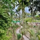 The gardens at Infinity Resort Kaziranga, India