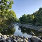 A riverbank in Corbett National Park, India.