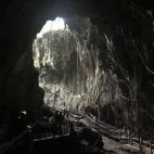 In the Binsari cave on Biak island, Indonesia.