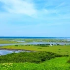 Kiritappu Wetland during summer, Hokkaido