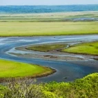 View of the river winding through Kiritappu Wetland, Hokkaido.