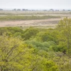 Yachibouza boardwalk at Kiritappu Wetland, Hokkaido