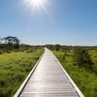 The promenade in Kushiro Marsh, Hokkaido.