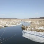 Kushiro wetland, Hokkaido.