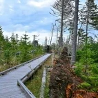 Autumn scenery surrounding Shunkunitai, Lake Furen, Hokkaido, Japan.