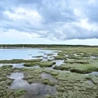View of the marshland of Lake Furen, Hokkaido, Japan.