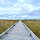 The Shunkunitai promenade at Lake Furen, Hokkaido, Japan.