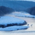 Otowa Bridge in Japan.