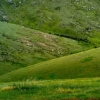 Landscape in Hustai National Park, Mongolia