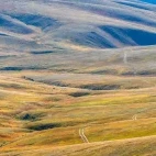Landscape in Hustai National Park, Mongolia