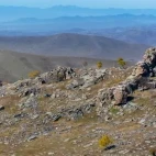 Landscape in Hustai National Park, Mongolia