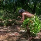 A Vedda tribesman hunting in Sri Lanka