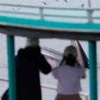 Great Cormorant boat in the Gulf of Thailand.
