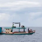 Great Cormorant boat in the Gulf of Thailand.