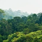 Landscape in Kaeng Krachan National Park, Thailand
