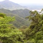 View of Bach Ma National Park, Vietnam.