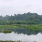 Crocodile lake in Cat Tien National Park, Vietnam.