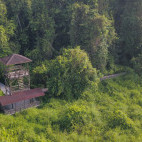 Elephants tower at Abai Jungle Lodge