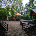 Breakfast platform at Abai Jungle Lodge