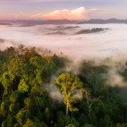Danum Valley in Borneo.
