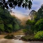 Segama River in Borneo.