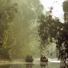 Boat trip on the Kinabatangan River in Borneo.