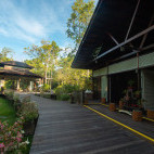 Boardwalk at Kinabatangan Wetlands Resort, Borneo