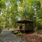 Walking trail at Kinabatangan Wetlands Resort, Borneo