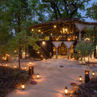 Tree House Hideaway in Bandhavgarh National Park, India