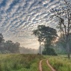Kanha National Park, India
