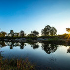 Surroundings near Singinawa Jungle Lodge in Kanha National Park, India.