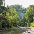 Bukit Lawang in Indonesia