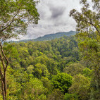 Bukit Lawang in Indonesia