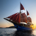 Tiger Blue in Indonesia