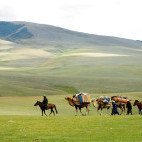 Caravan in Mongolia
