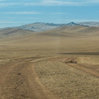 Hustai National Park in Mongolia
