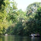 Zodiac in rainforest in Papua New Guinea.