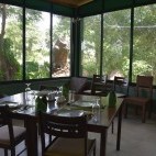 Dining area with forest view at Wilpattu Tree House Accommodation in Sri Lanka