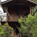 Wilpattu Tree House accommodation in Sri Lanka