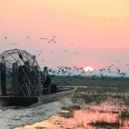 Airboat safari at Bamurru Plains in Australia.