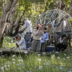 Flooded paperbark forest at  Bamurru Plains in Australia.