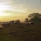 Safari drive from Bamurru Plains in Australia