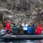 Guests photographing penguins from a Zodiac, Bounty Islands, Subantarctic.