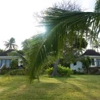Two of the fale's at Reef Resort, Vava'u.