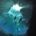 An underwater view of Swallows Cave, Vava'u, Tonga.
