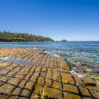 Tessellated pavement in Tasman National Park, Tasmania, Australia