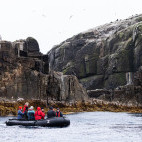 Zodiac trip to Bounty Island.