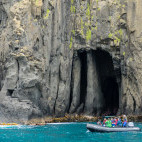 Zodiac trip to Little Mangere on Chatham Islands.