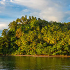 Shoreline at Walindi in Papua New Guinea