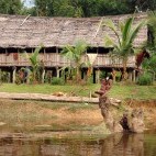 Tribe in Karawari River, Papua New Guinea